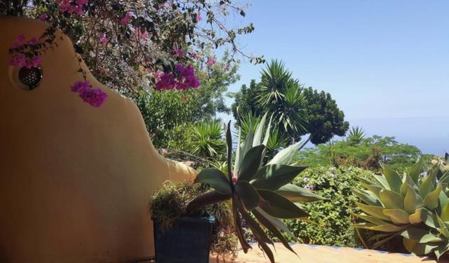 Luna - Finca Manana Лос Лианос де Аридане Екстериор снимка